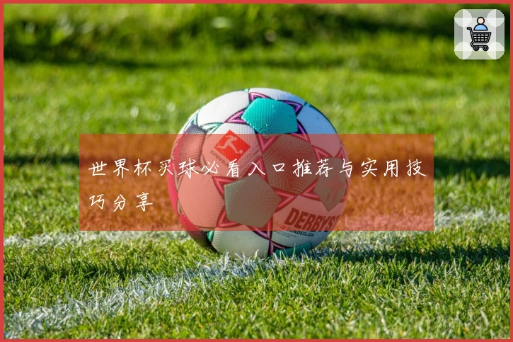 世界杯买球必看入口推荐与实用技巧分享