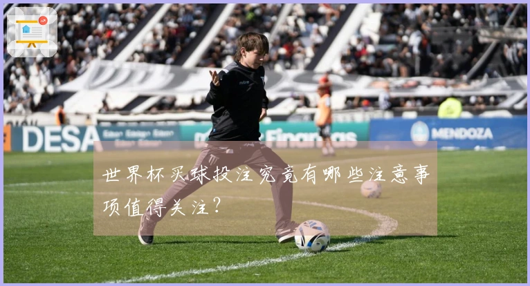 世界杯买球投注究竟有哪些注意事项值得关注？