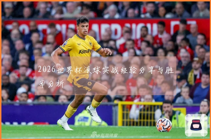 2026世界杯滚球实战经验分享与胜率分析