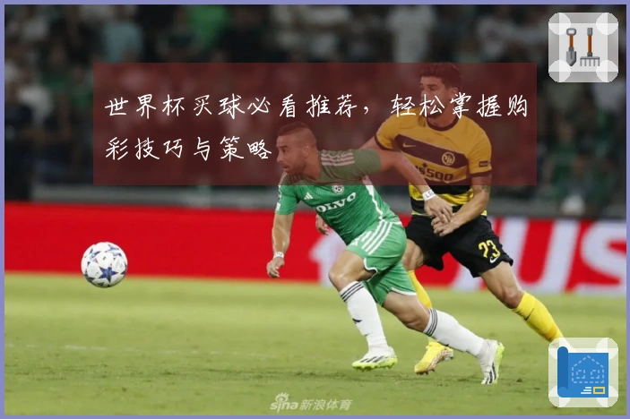 世界杯买球必看推荐，轻松掌握购彩技巧与策略