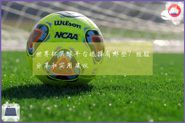 世界杯买球平台选择有哪些？经验分享和实用建议