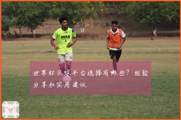 世界杯买球平台选择有哪些？经验分享和实用建议