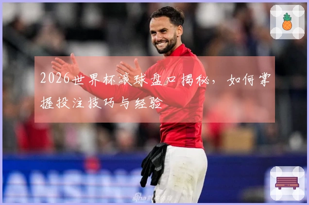 2026世界杯滚球盘口揭秘，如何掌握投注技巧与经验