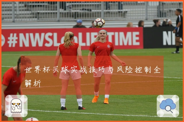 世界杯买球实战技巧与风险控制全解析