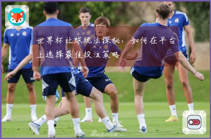 世界杯让球玩法探秘，如何在平台上选择最佳投注策略