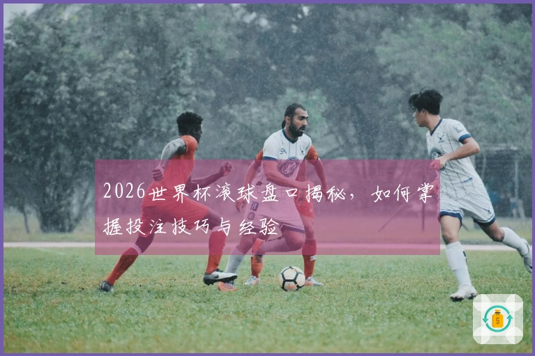 2026世界杯滚球盘口揭秘，如何掌握投注技巧与经验