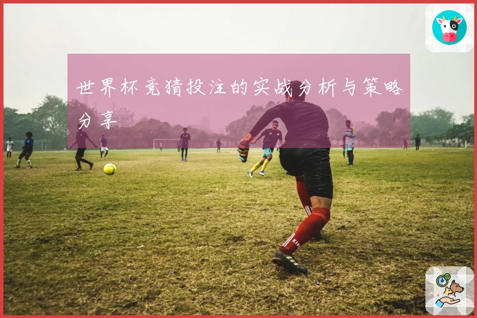世界杯竞猜投注的实战分析与策略分享