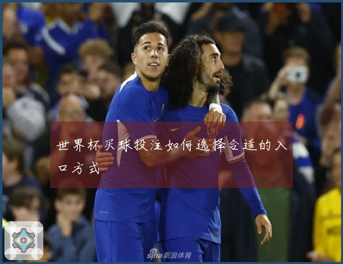 世界杯买球投注如何选择合适的入口方式