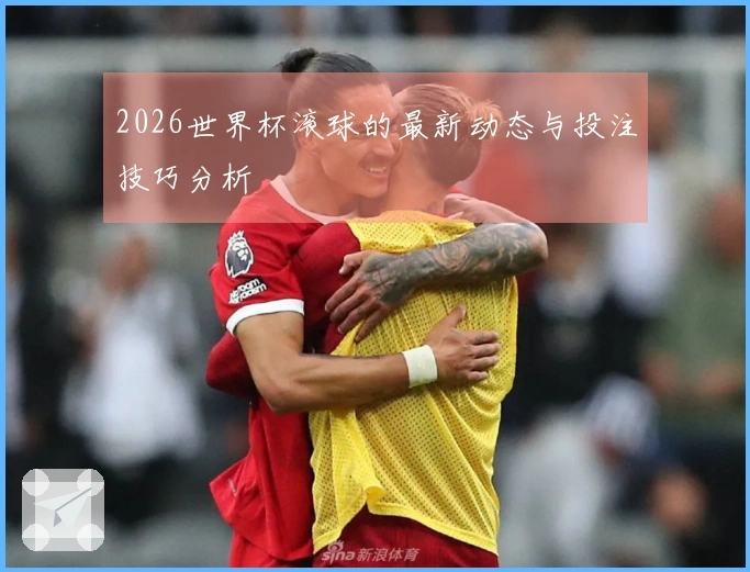 2026世界杯滚球的最新动态与投注技巧分析