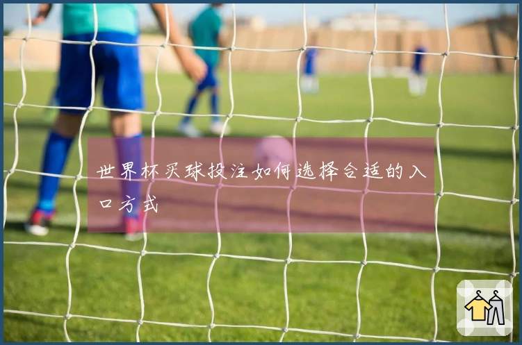 世界杯买球投注如何选择合适的入口方式