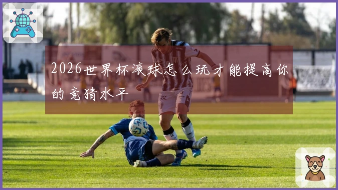 2026世界杯滚球怎么玩才能提高你的竞猜水平