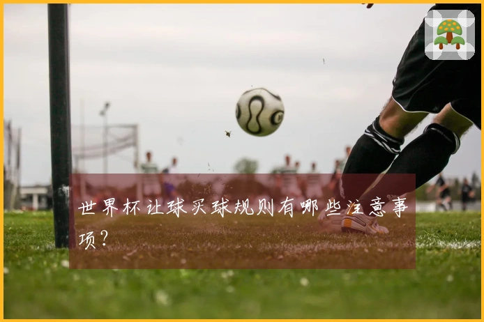 世界杯让球买球规则有哪些注意事项？