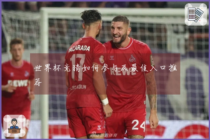 世界杯竞猜如何参与及最佳入口推荐